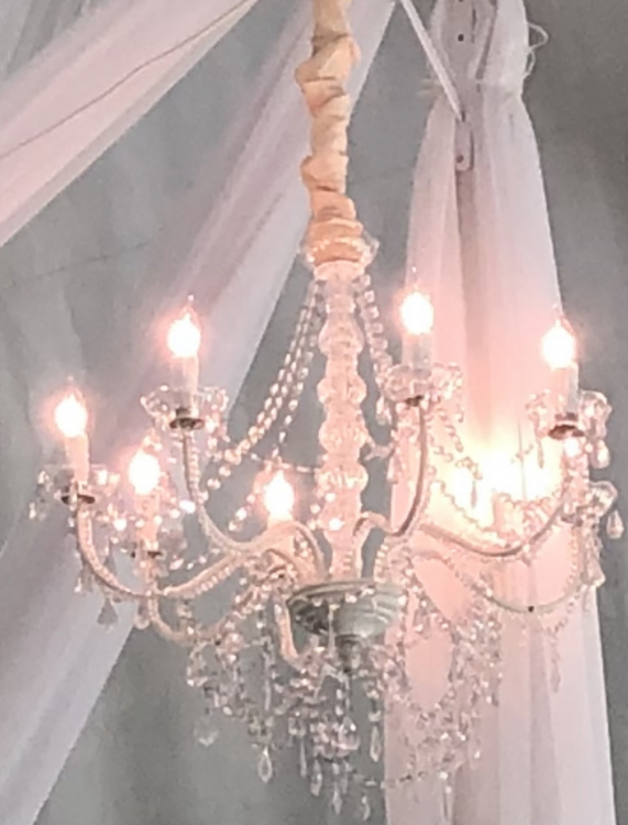 8 Light Chandelier