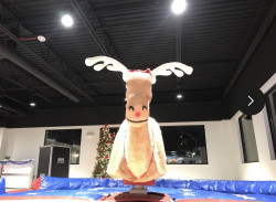image7 1670440153 Mechanical Reindeer Attachment