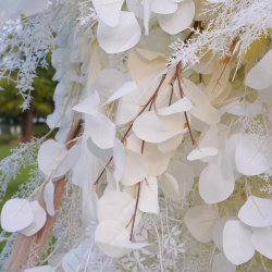 pampas 7 1709241580 Flower Wall 8x8 Pampas