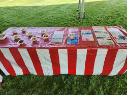 Friendship Bracelet Creation Station