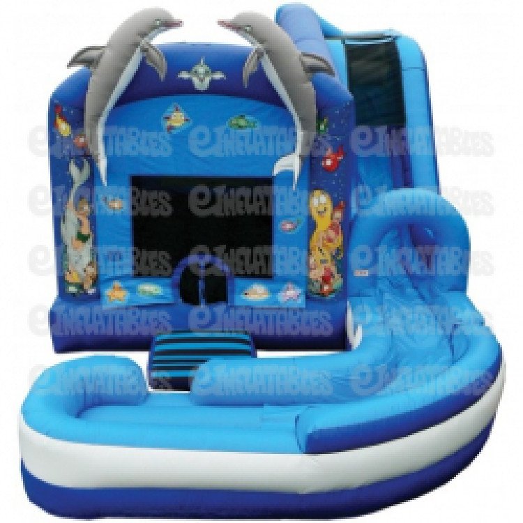 Dolphin Water Slide Combo