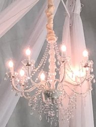 8 Light Chandelier