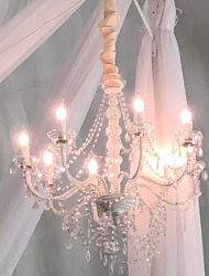 8 Light Chandelier