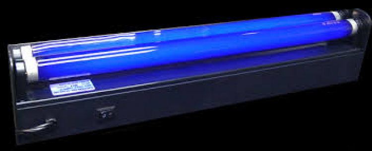 Black Lights- Large