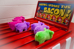 Bring Home the Bacon Race