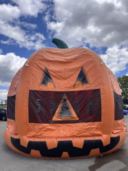 pumpkin 1756146482