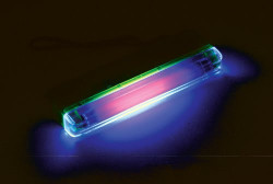 Black Lights - Small