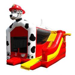 Dalmatian 4 in 1 Combo