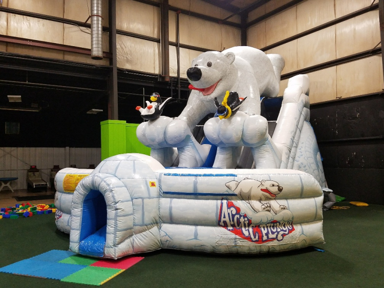 Arctic Plunge Polar Bear Slide