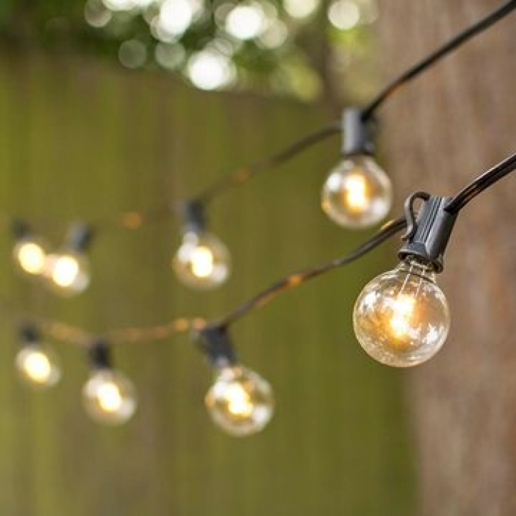 50' Strand Indoor Bistro Lights