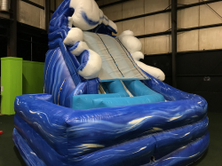 18ft Wave Dual Lane Inflatable Slide