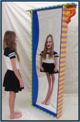 Fun House Mirror