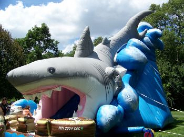 Shark Gone Fishing Slide