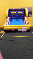 Mini Hoops