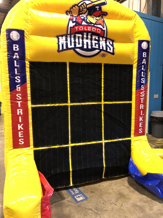 Mud Hens & Walleye Activity Board