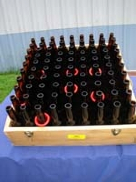 Old Fashioned Ring Toss
