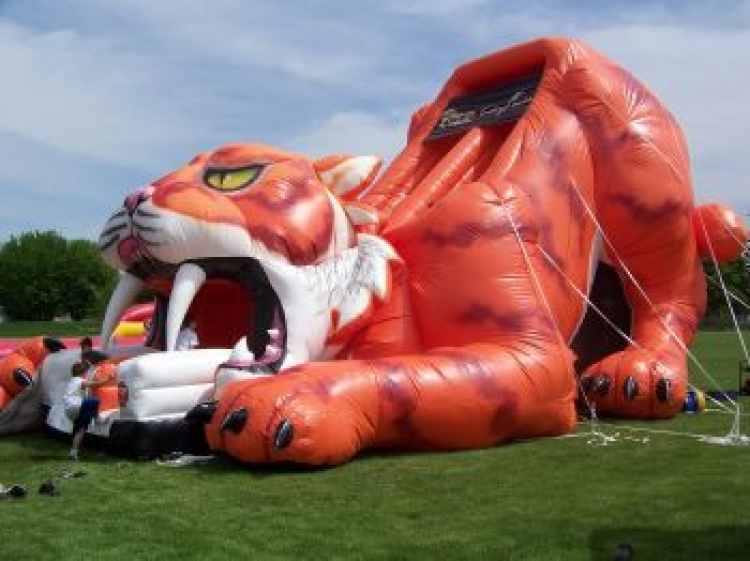 Sabretooth Tiger Slide 27'