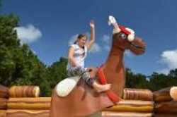 reindeer 1669648916.jfif Mechanical Bull