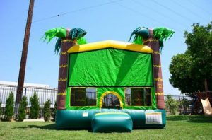 tropical_bouncer_152050866_big-jpg