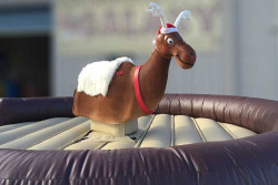 Reindeer20Inflatable20Image 1671134275
