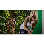 Green Screen (Minimum 2 Hour Rental)