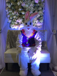 Easter Bunny (By the Hour)