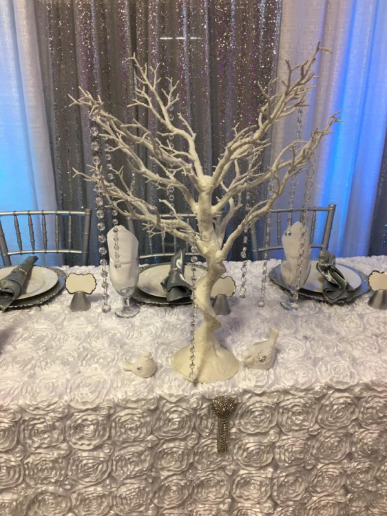White Manzanita Tree 30