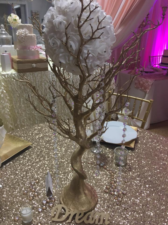 Gold Manzanita Tree 30