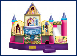 Disney Princess 3-D Combo