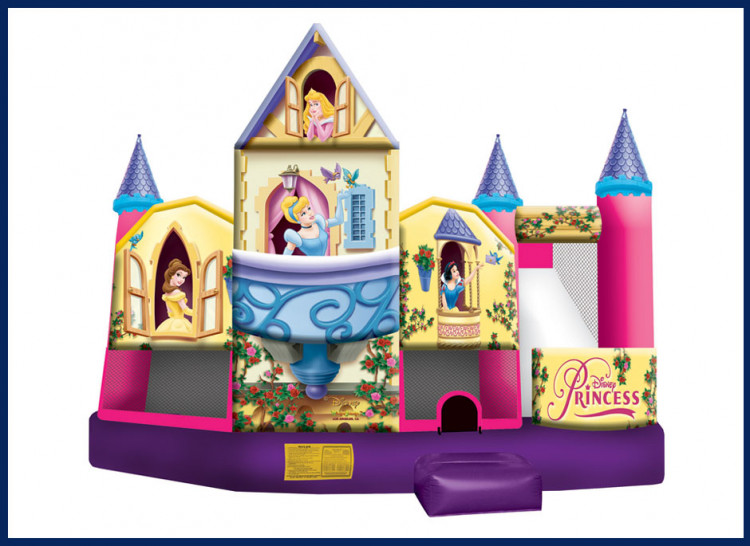 Disney Princess 3-D Combo