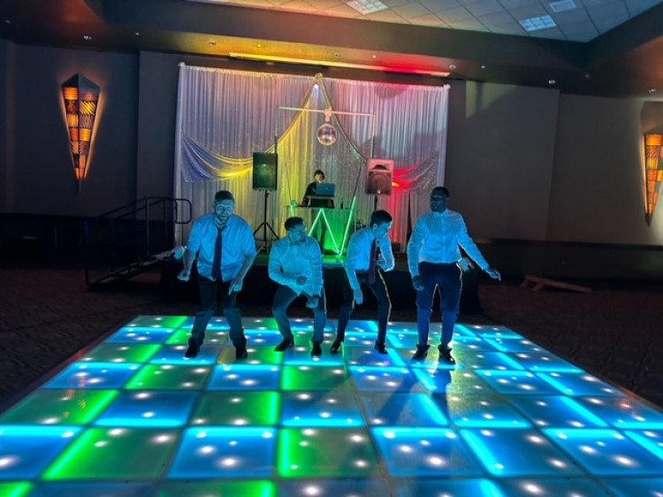 LED Dance Floor 16X16