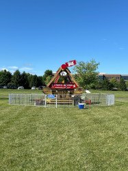 Pirate20Ship20Carnival20Ride 1722355738