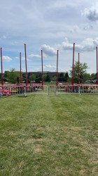 Trampoline 1722355957