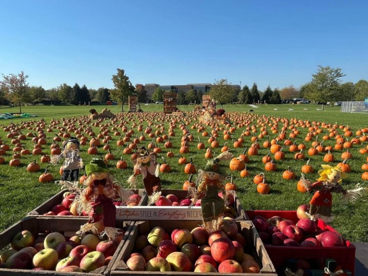 MOBILE PUMPKIN PATCH