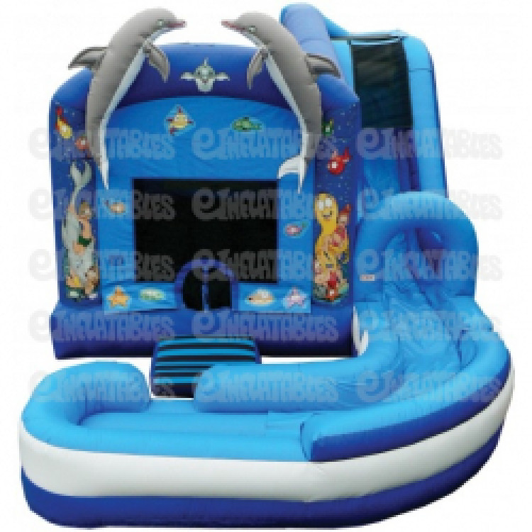 Dolphin Water Slide Combo