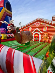 Reindeer Ride 2 1746033805