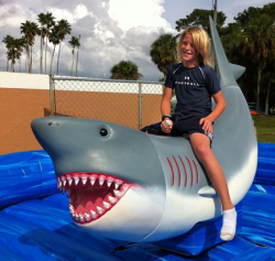 mechanical20shark 944180925