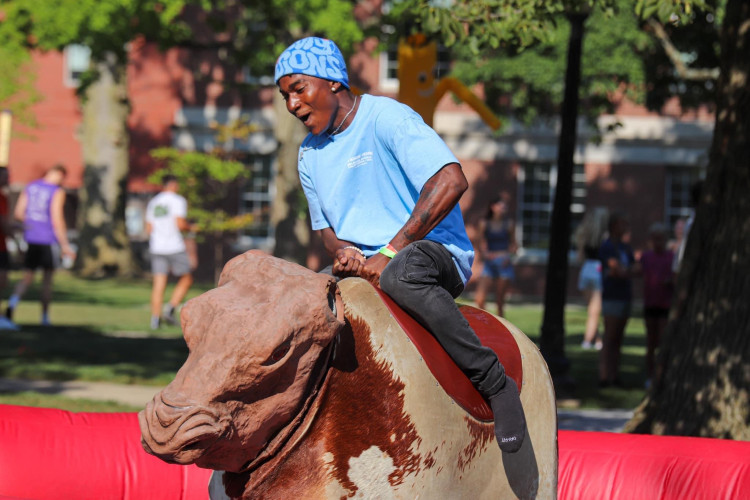 Mechanical Bull Mechanical Bull